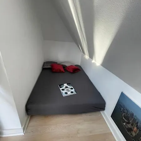 Luxury Rooftop Loft With River View 10min To City Dusseldorf